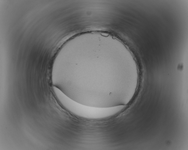 X0000113181169200910161324