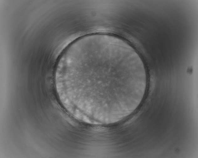 X0000113181170200910161324
