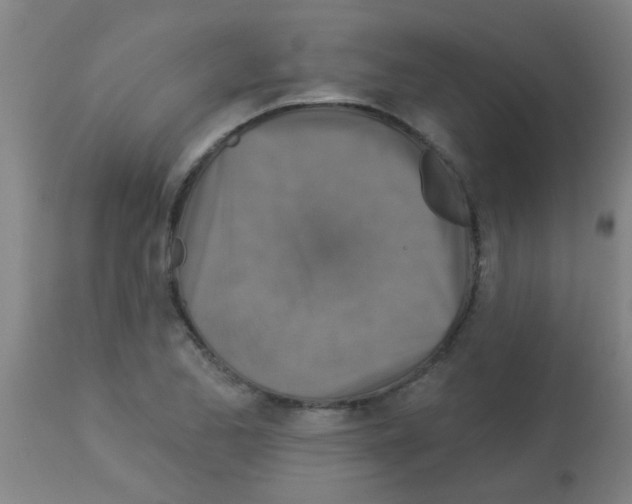 X0000113181173200910161324
