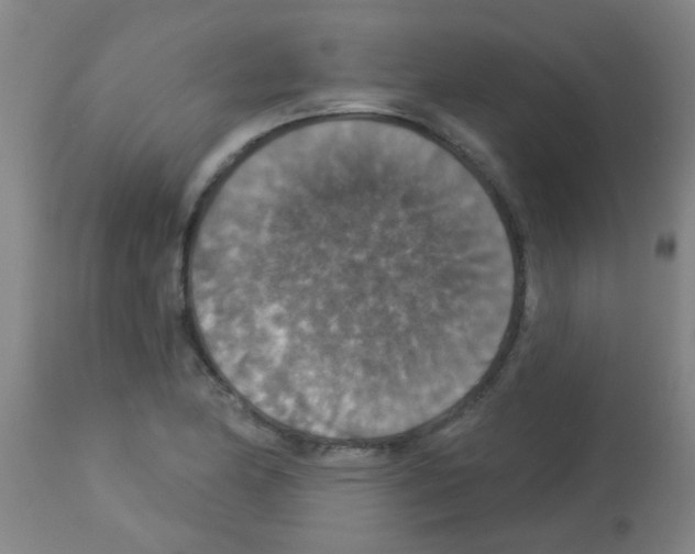 X0000113181174200910161324