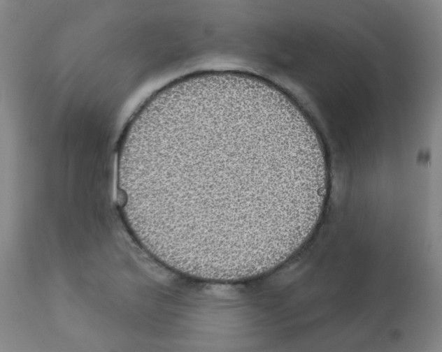 X0000113181175200910161324