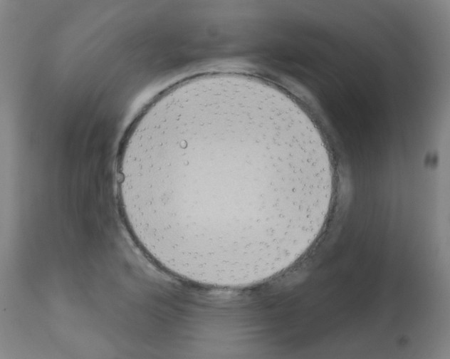 X0000113181176200910161324