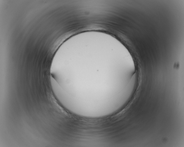 X0000113181177200910161324