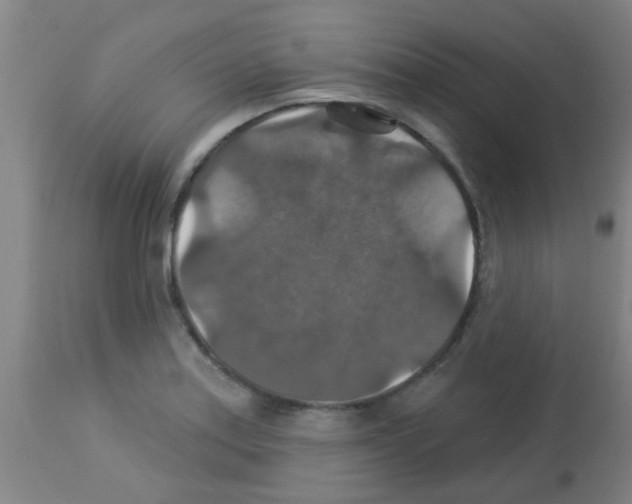 X0000113181179200910161324