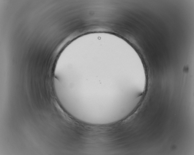X0000113181181200910161324