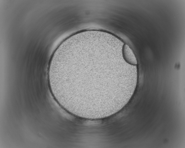 X0000113181183200910161324