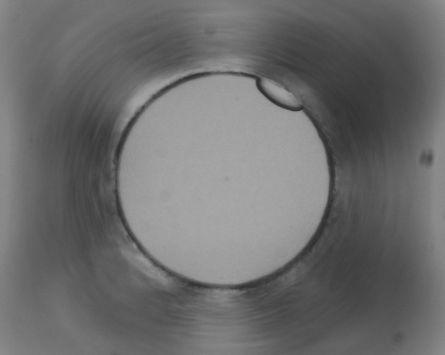 X0000113181184200910161324
