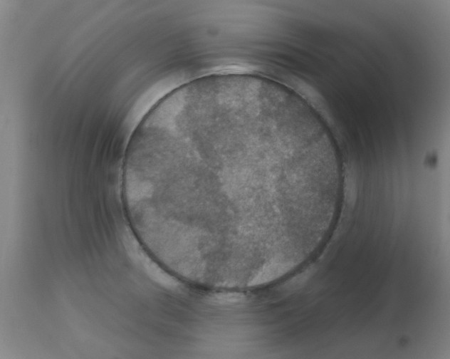 X0000113181186200910161324