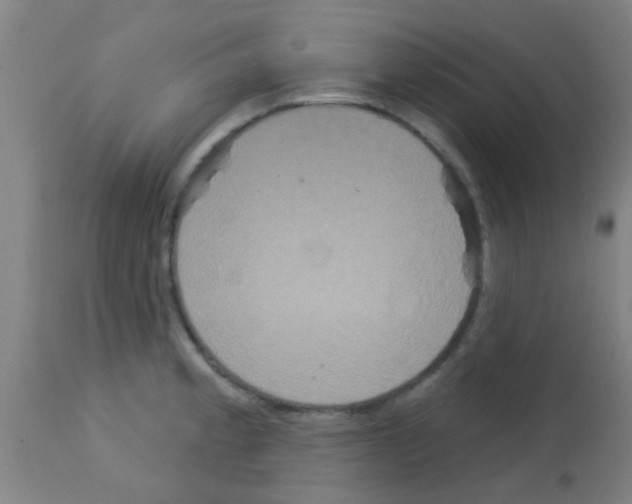 X0000113181189200910161324