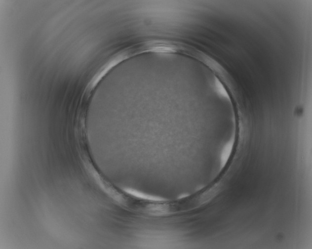 X0000113181194200910161324