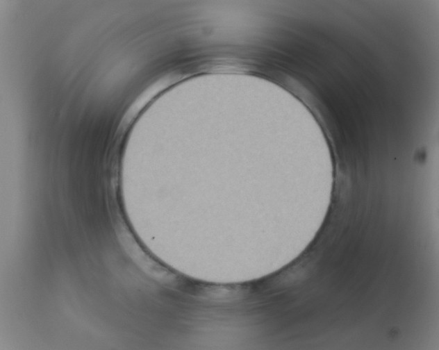 X0000113181195200910161324