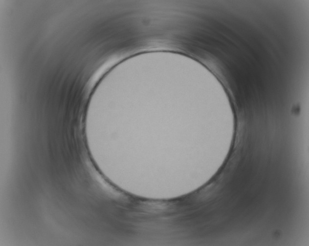 X0000113181197200910161324