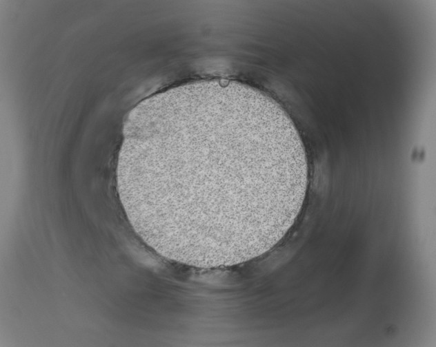 X0000113181201200910161323