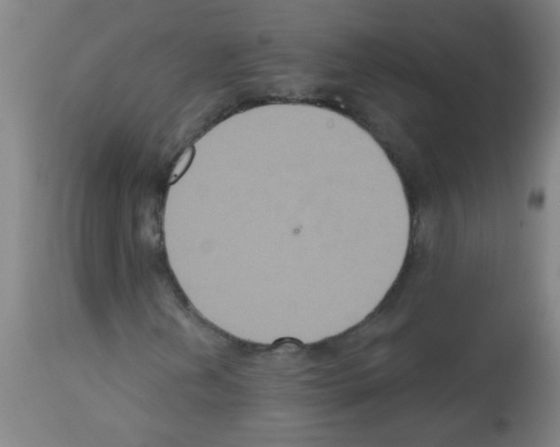 X0000113181202200910161323