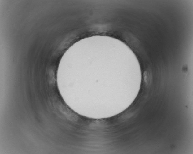 X0000113181203200910161323