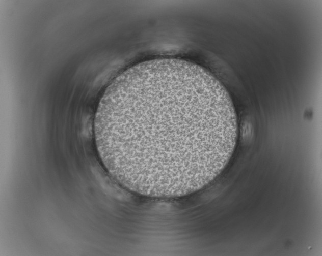 X0000113181204200910161323