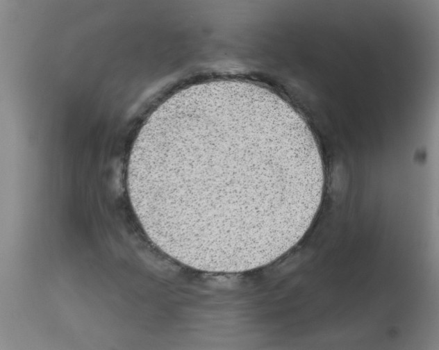 X0000113181205200910161323