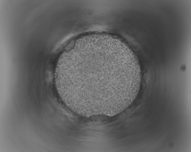 X0000113181206200910161323