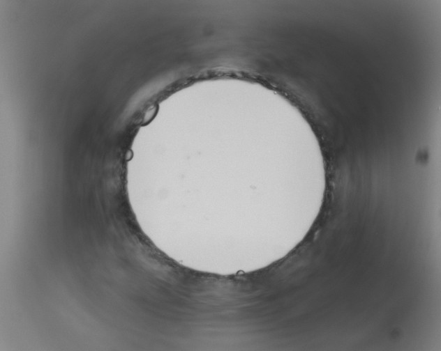 X0000113181207200910161323