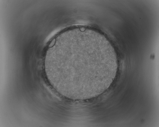 X0000113181208200910161323