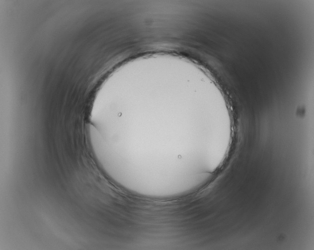 X0000113181209200910161323
