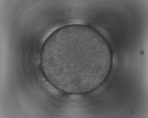 X0000113181212200910161323