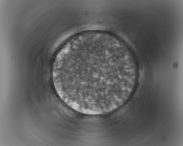 X0000113181213200910161323
