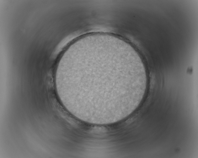X0000113181215200910161323