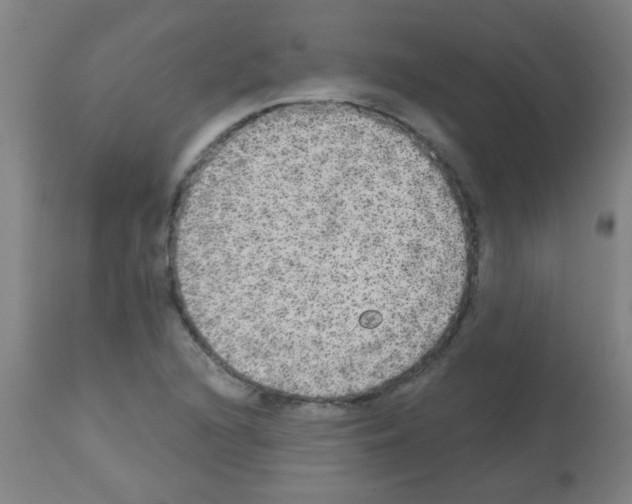 X0000113181216200910161323