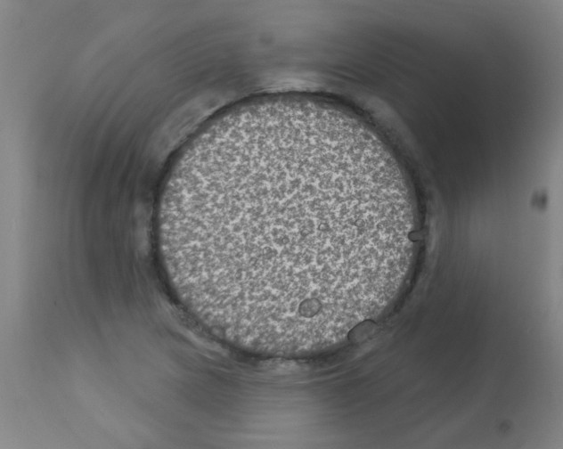 X0000113181217200910161323