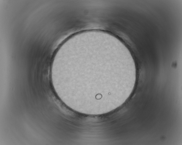X0000113181220200910161323
