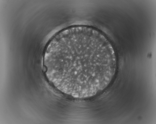 X0000113181221200910161323