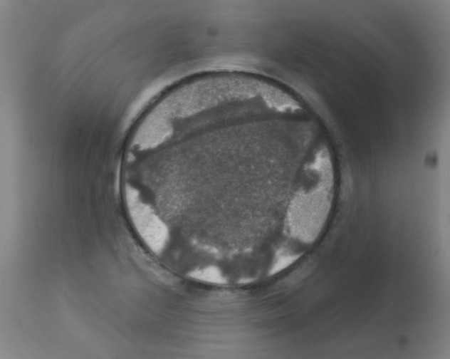 X0000113181224200910161323