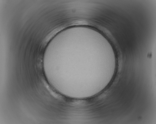 X0000113181225200910161323