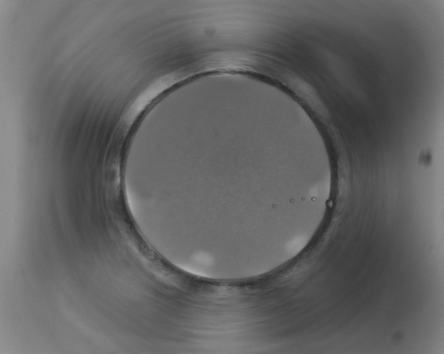 X0000113181226200910161323