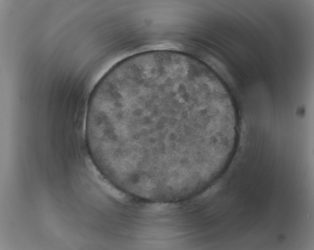 X0000113181228200910161323