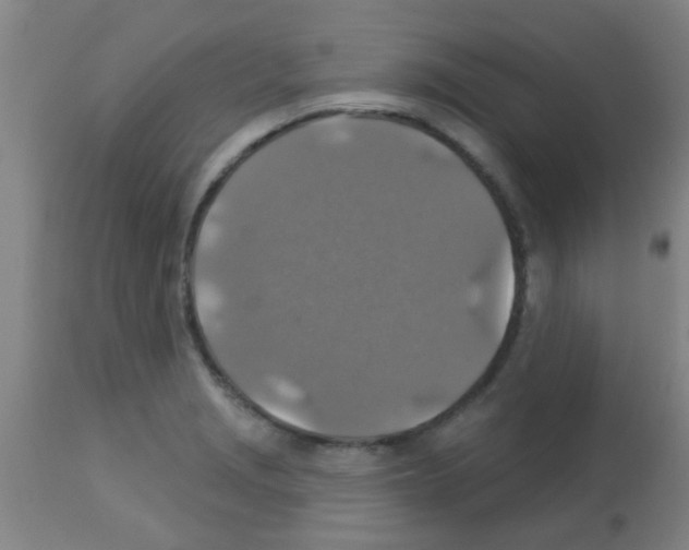 X0000113181229200910161323