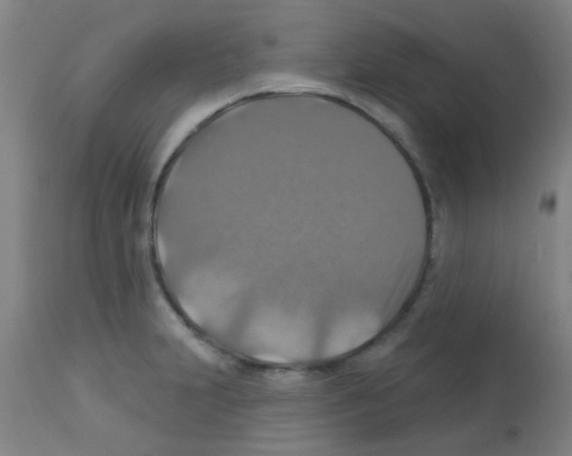 X0000113181231200910161324