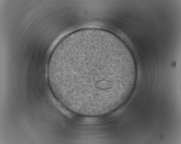 X0000113181232200910161324