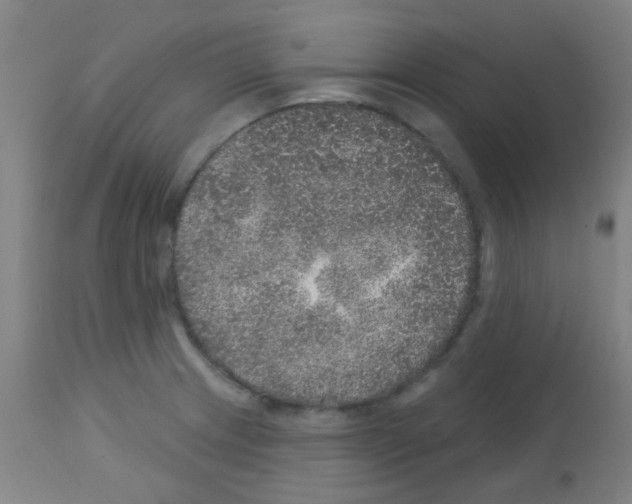 X0000113181233200910161324