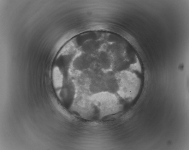 X0000113181234200910161324