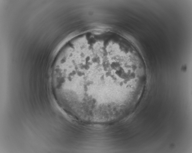 X0000113181235200910161324