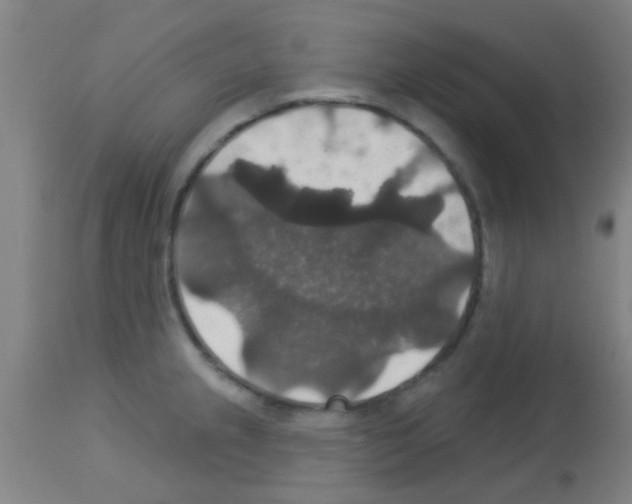 X0000113181237200910161324