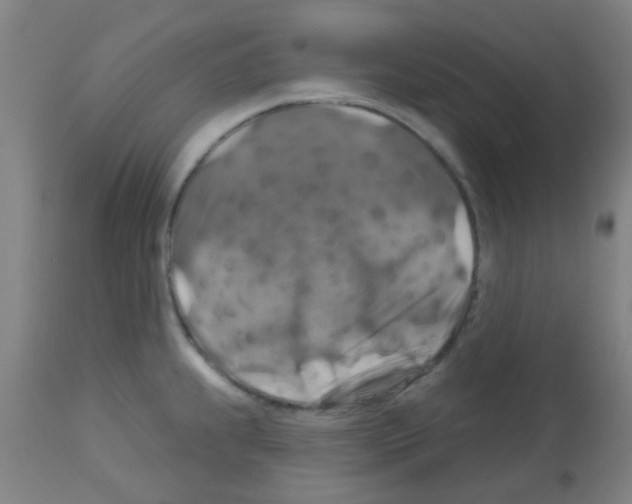 X0000113181239200910161324