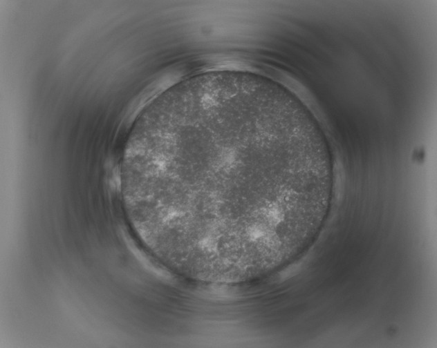 X0000113181241200910161324