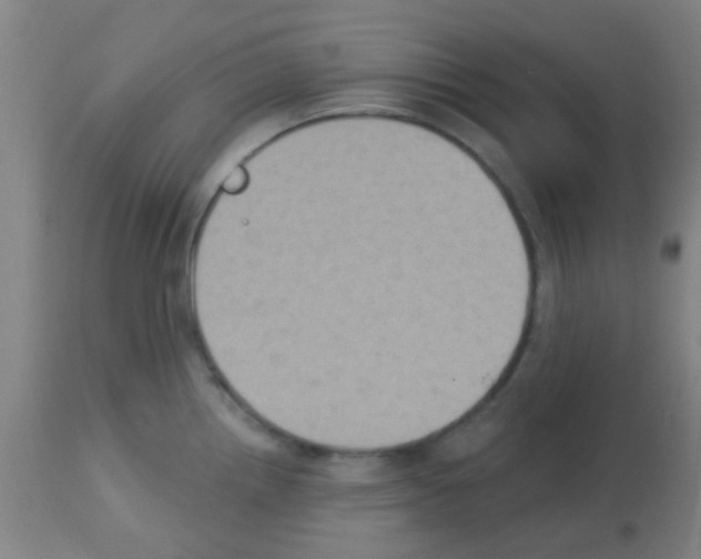 X0000113181242200910161324