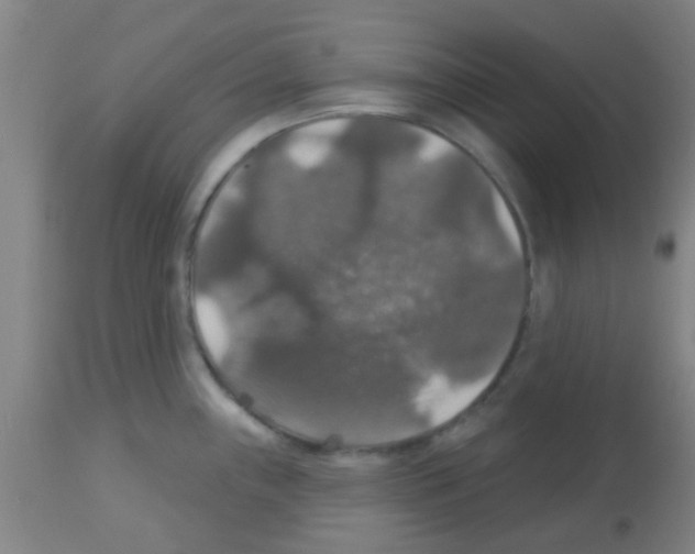 X0000113181243200910161324