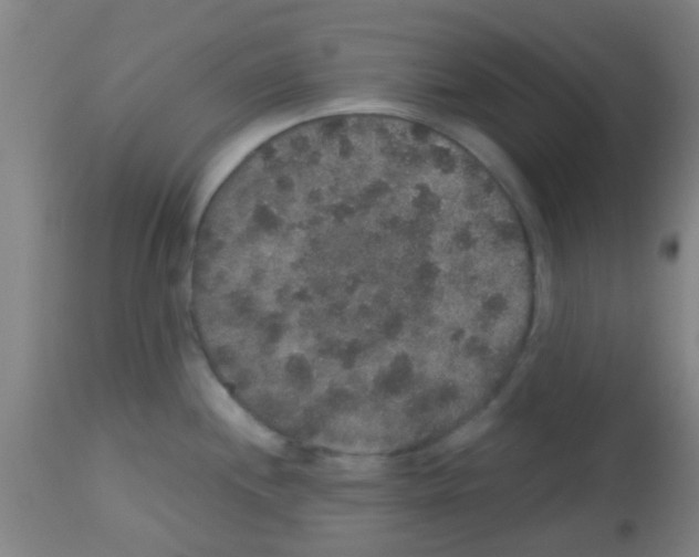 X0000113181244200910161324