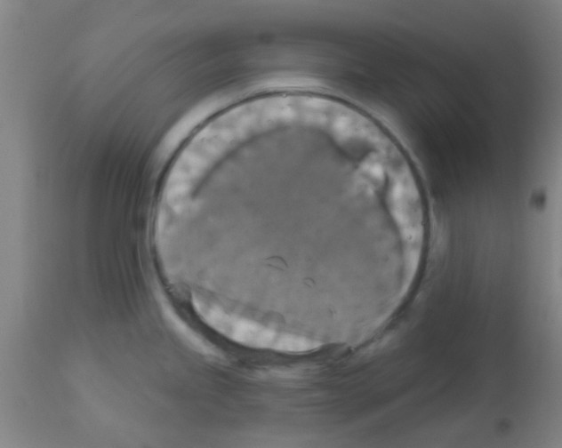 X0000113181245200910161324