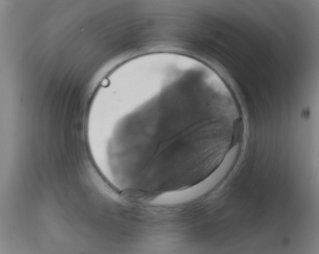 X0000113181246200910161324